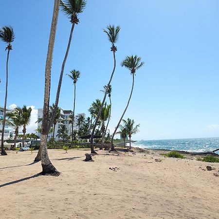Jardines Del Mar Todas Las Amenidades Reserva Inmediata Villa Del Mar Dış mekan fotoğraf